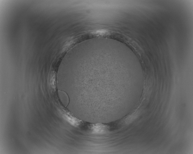 X0000081390336200701182238