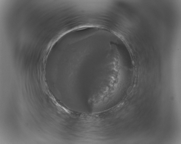 X0000081390337200701182238