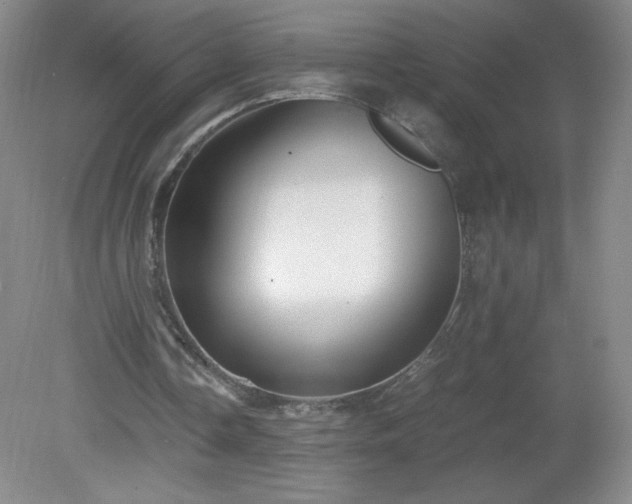 X0000081390338200701182238