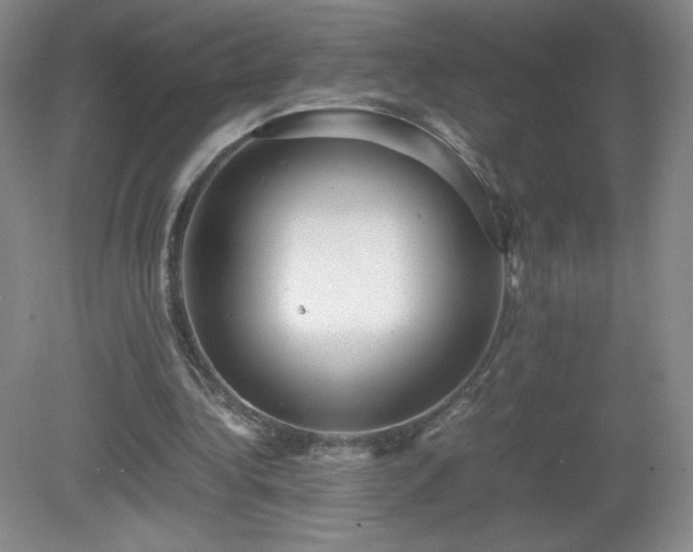 X0000081390340200701182238