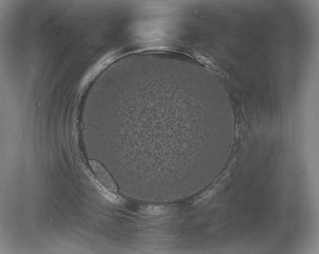 X0000081390341200701182238