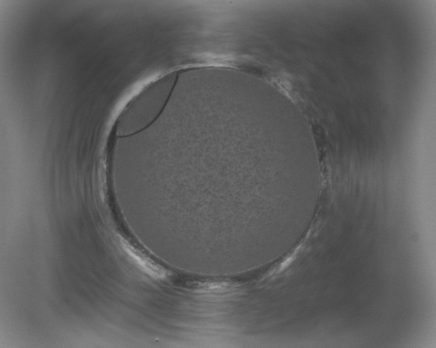 X0000081390342200701182238