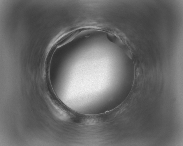 X0000081390344200701182238