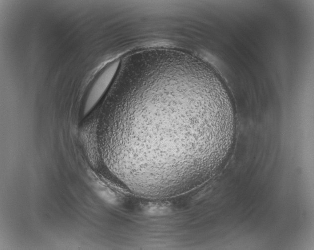 X0000081390345200701182238