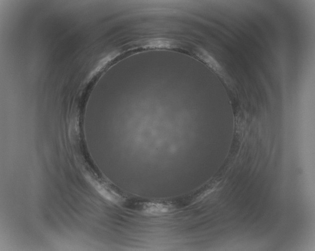 X0000081390347200701182238