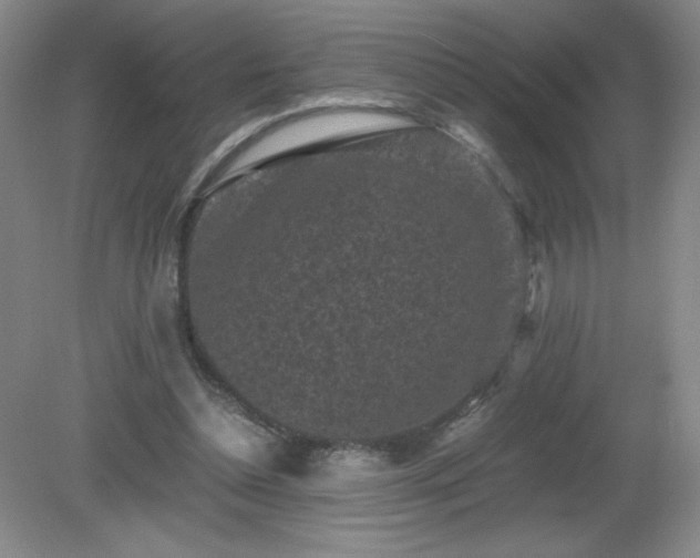 X0000081390348200701182238