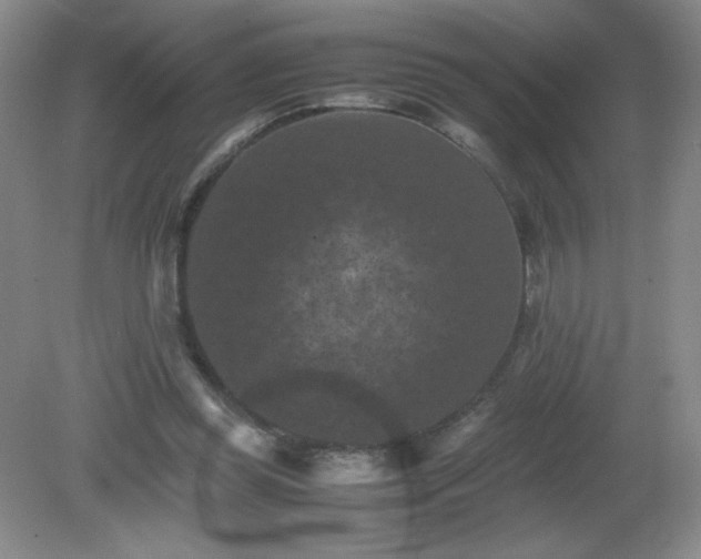 X0000081390349200701182238