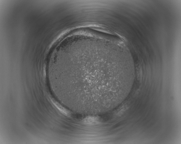 X0000081390350200701182238