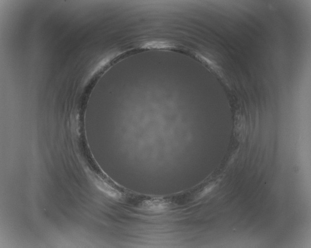 X0000081390351200701182238