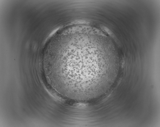 X0000081390352200701182238