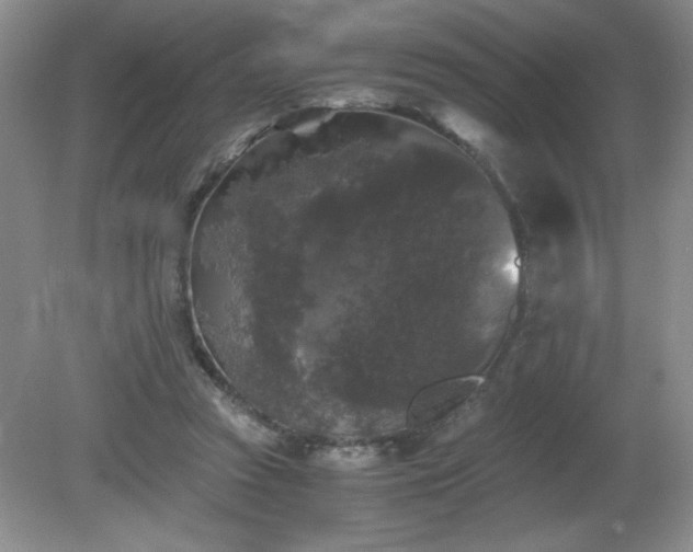 X0000081390353200701182238