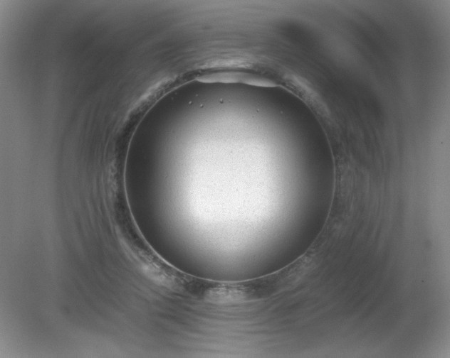 X0000081390354200701182238