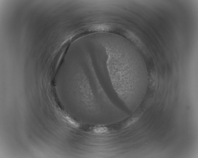 X0000081390355200701182238