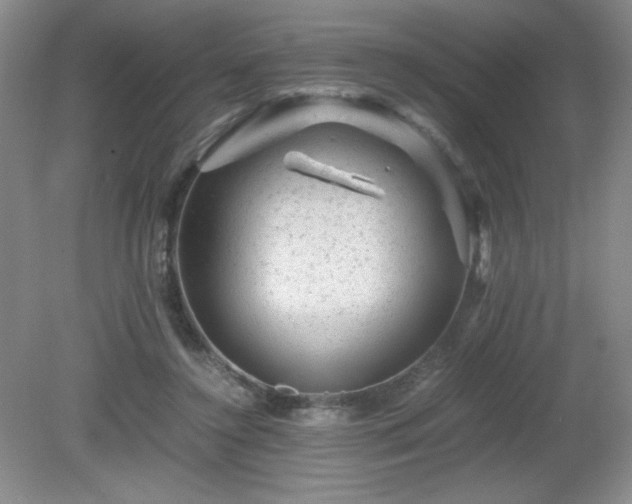 X0000081390356200701182238