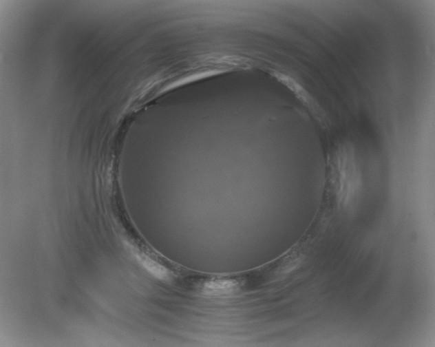 X0000081390357200701182238