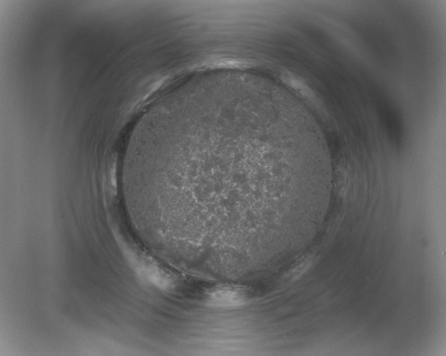 X0000081390358200701182238