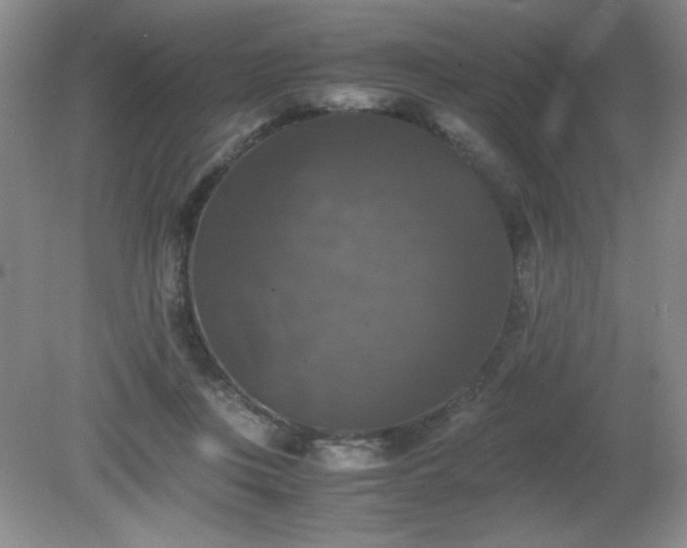 X0000081390359200701182238