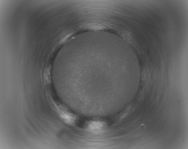 X0000081390360200701182238