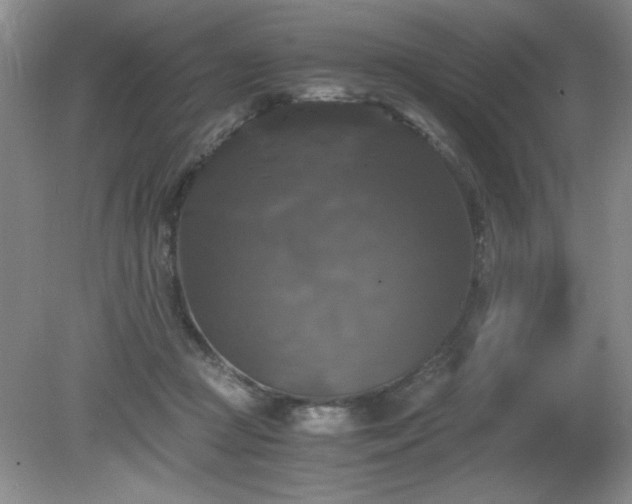 X0000081390361200701182238