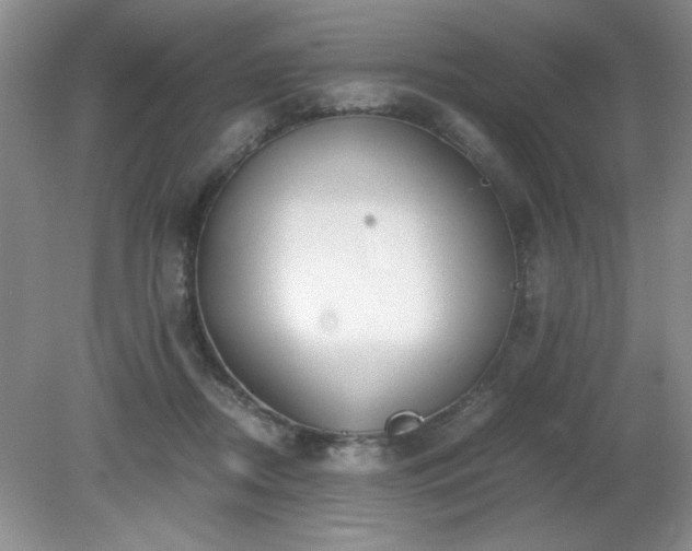 X0000081390362200701182238