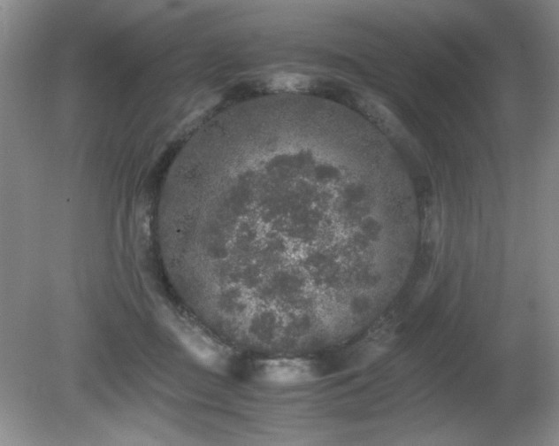 X0000081390363200701182238