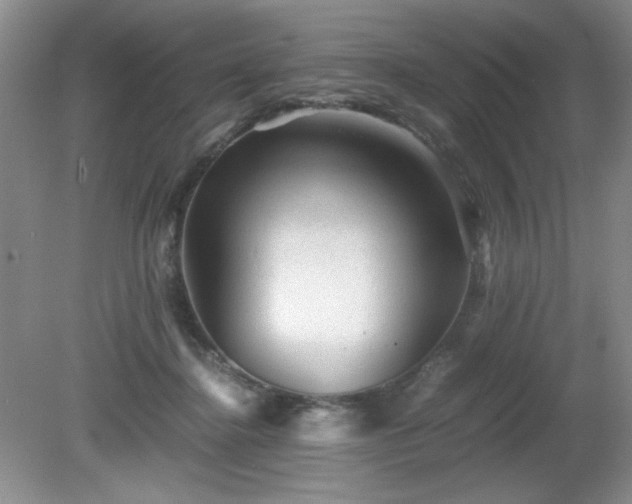 X0000081390364200701182238