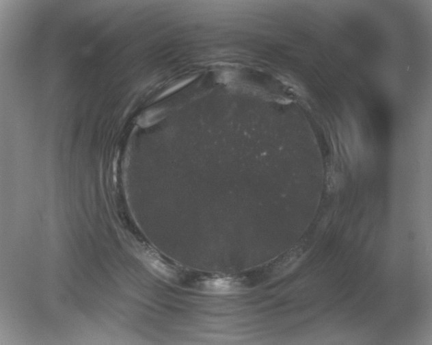 X0000081390365200701182238