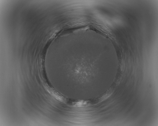 X0000081390366200701182238