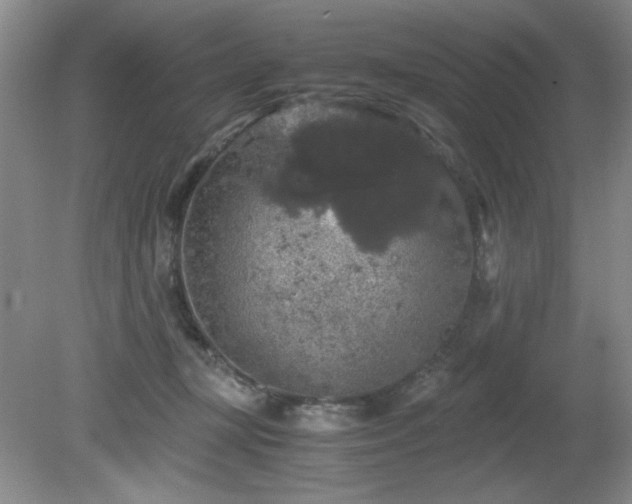 X0000081390367200701182238