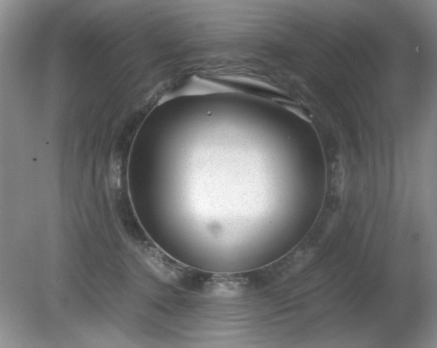 X0000081390368200701182238