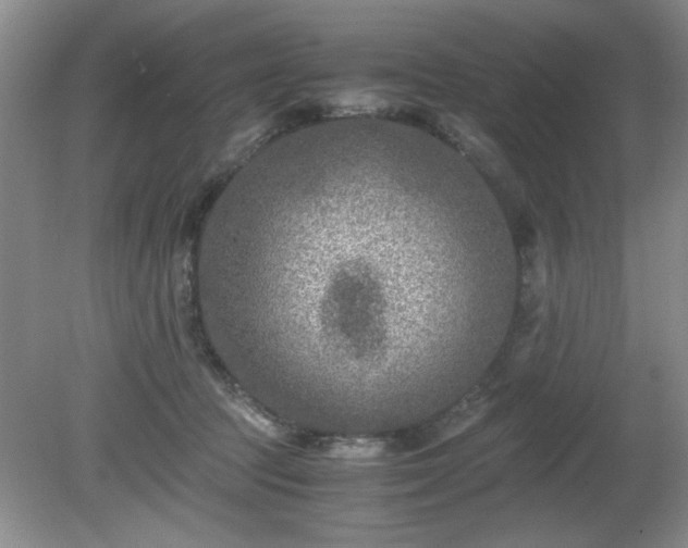 X0000081390369200701182238