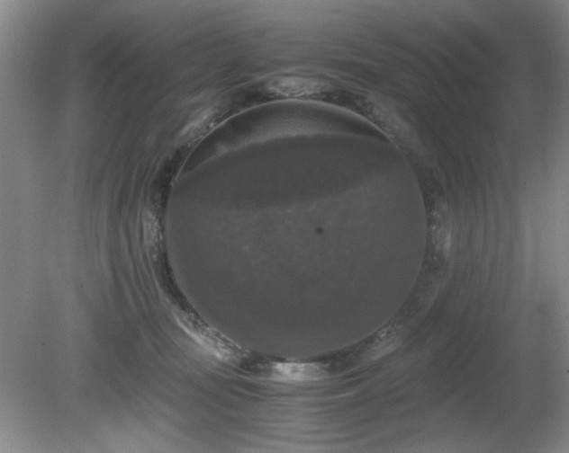 X0000081390371200701182238