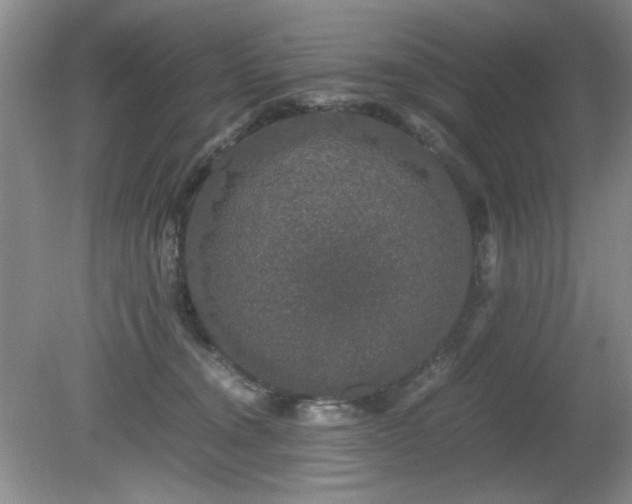 X0000081390372200701182238