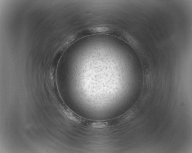 X0000081390373200701182238