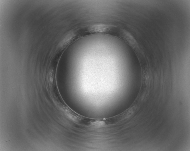 X0000081390374200701182238