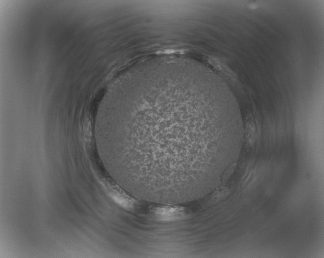 X0000081390375200701182238