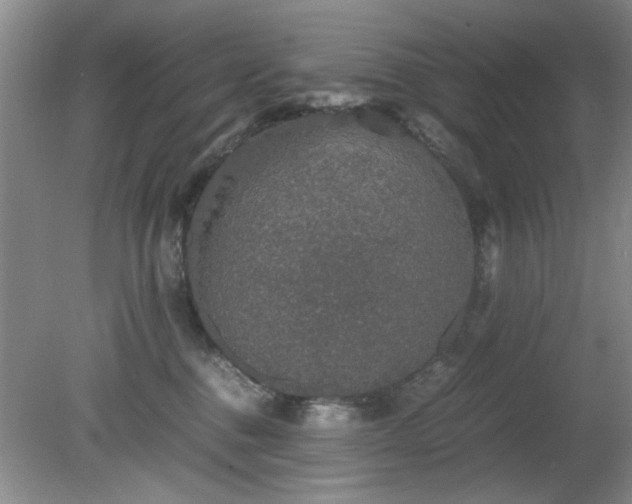 X0000081390376200701182238