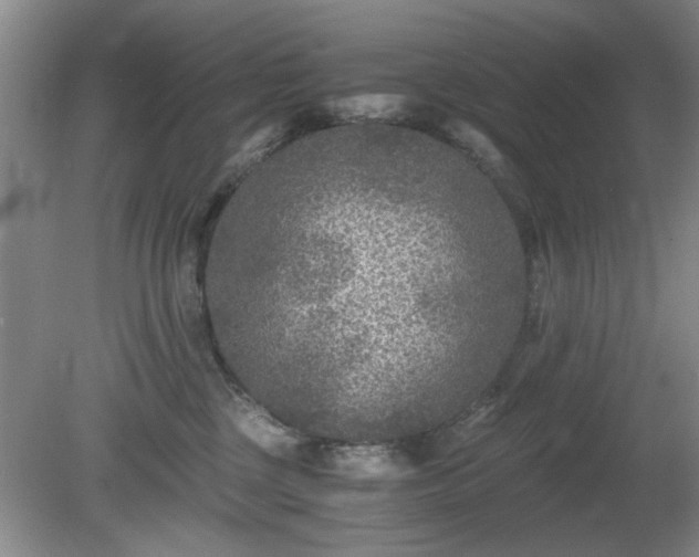 X0000081390377200701182238