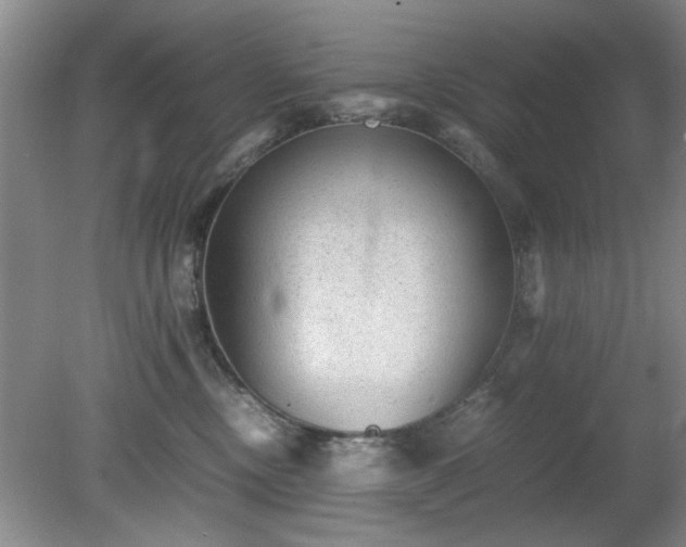 X0000081390378200701182238