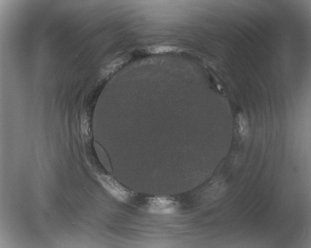 X0000081390380200701182238