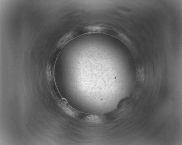 X0000081390381200701182238