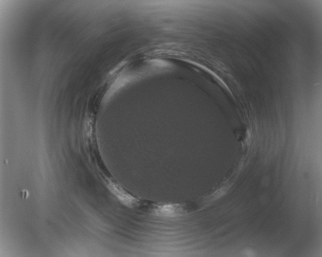 X0000081390382200701182238