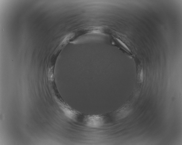 X0000081390383200701182238