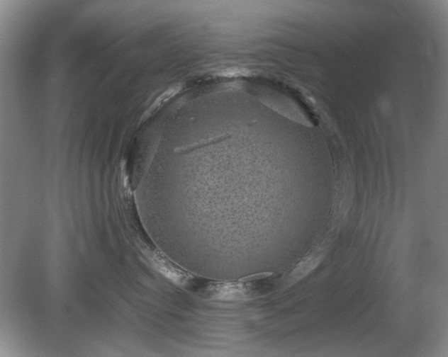 X0000081390384200701182238