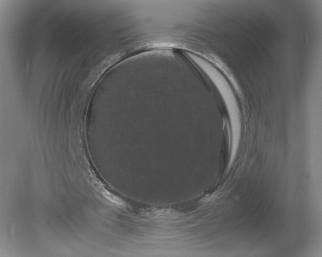 X0000081390385200701182238