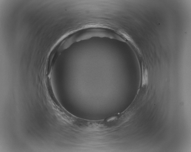 X0000081390387200701182238