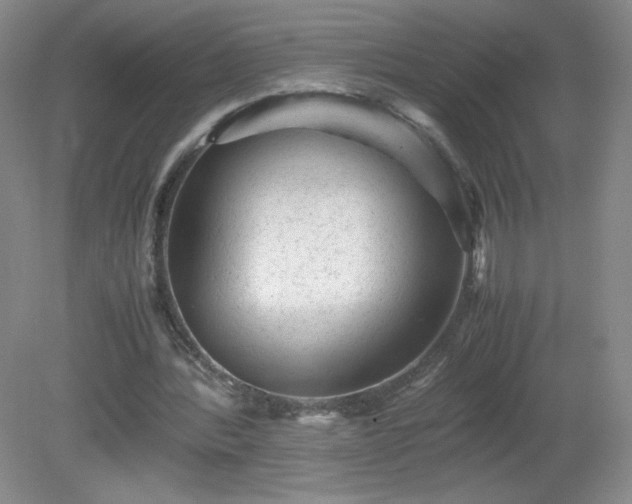 X0000081390388200701182238