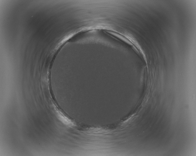 X0000081390389200701182238