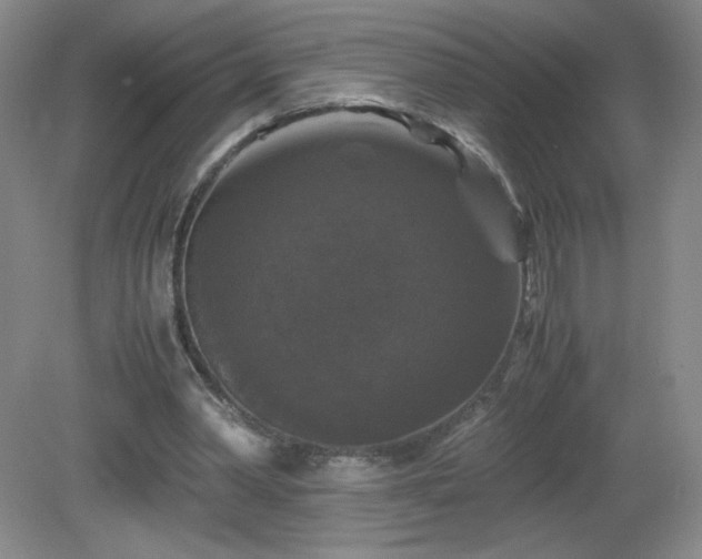 X0000081390390200701182238