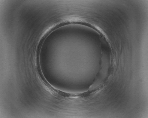 X0000081390391200701182237